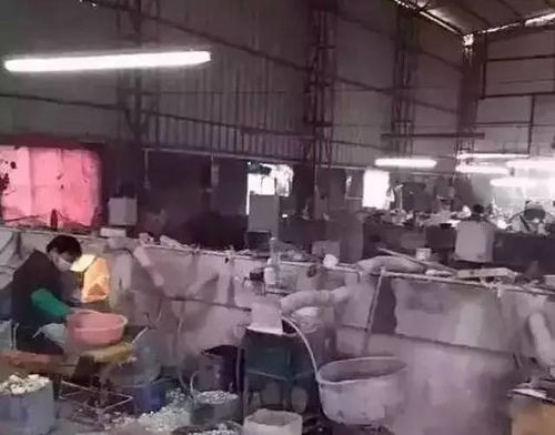暗拍绿松石黑工厂,见识一下人家的高超技术